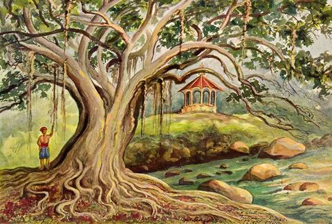 Indonesia: A rubber tree at Bogor, Java. Watercolour by the German scient... Stockfoto's