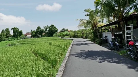 Indonesia Street View Rice Fields 4k Stock Footage 70733021