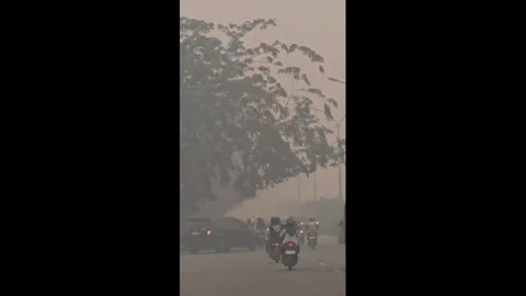 Indonesia: Thick Haze From Forest Fires Blankets Pontianak Streets 库存影片 345586148