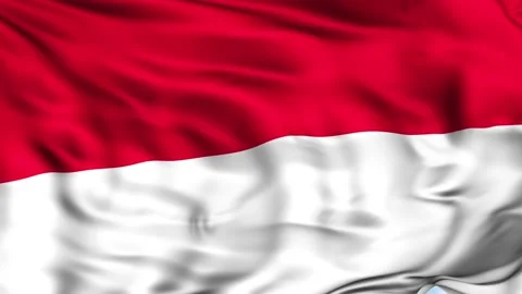 Indonesia Waving Flag Background Stock Footage 204133440
