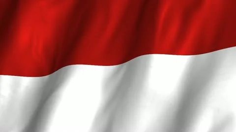 Indonesia Waving Flag Stock Footage 12289749