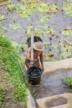 Indonesia|Bali| Stock Photos