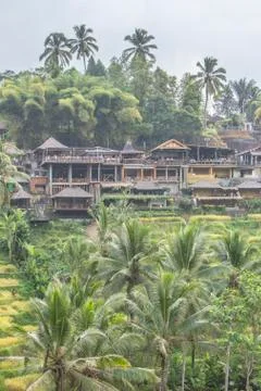Indonesia|Bali| Stock Photos