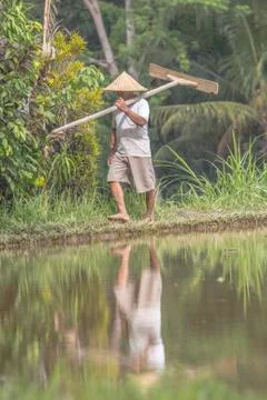 Indonesia|Bali| Stock Photos