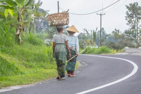 Indonesia|Bali| Stock Photos