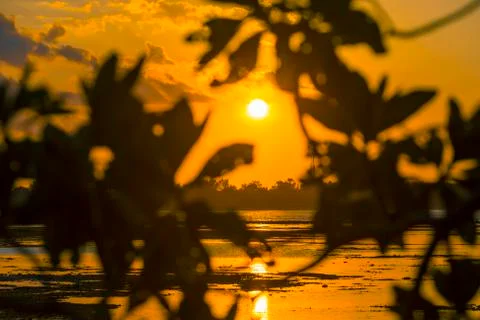 Indonesia|Bali| Stock Photos