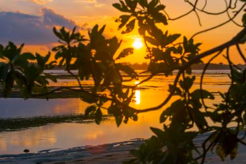 Indonesia|Bali| Stock Photos