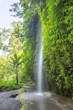 Indonesia|Bali| Stock Photos
