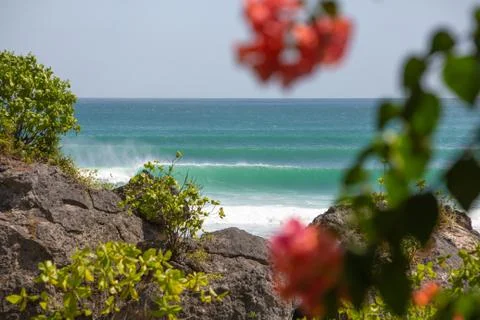 Indonesia|Bali| Stock Photos