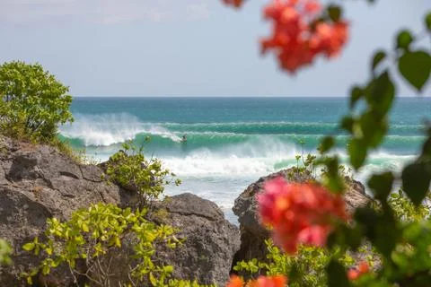 Indonesia|Bali| Stock Photos