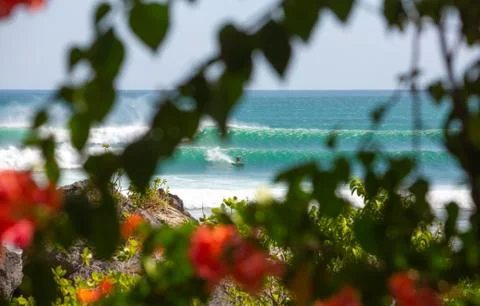 Indonesia|Bali| Stock Photos