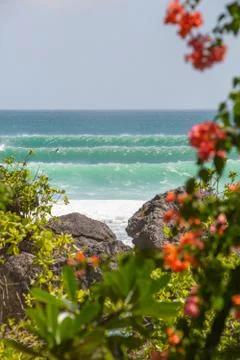 Indonesia|Bali| Stock Photos