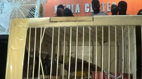 Indonesian authorities foil plot to export endangered animals Vídeos de archivo 109393641