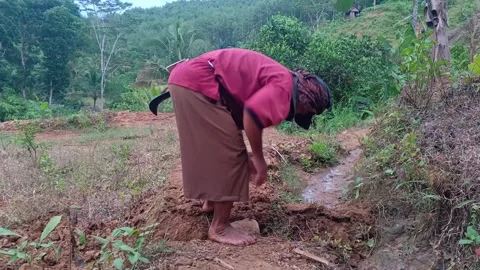 Indonesian farmer fixing a small. Stock Footage 321930966