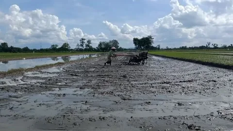 An Indonesian Farmer Stock Footage 220650851