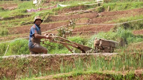 Indonesian farmer plowing a field using a tractor machine Stock Footage 231974913