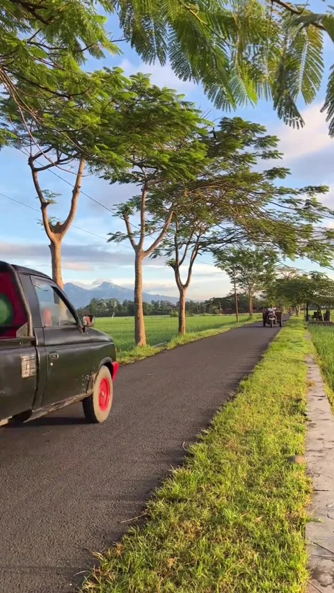 Indonesian farmers Video stock 254860752