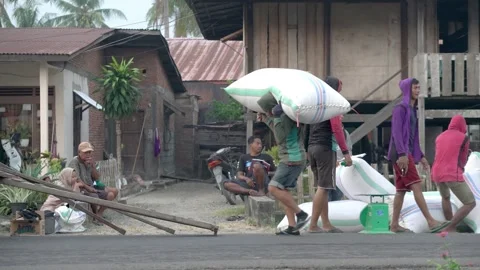 Indonesian farmers, Post-harvest rice buying and selling process Stock Footage 252930341