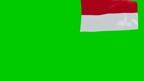 Indonesian Flag Blowing Left Stock Footage 320829362