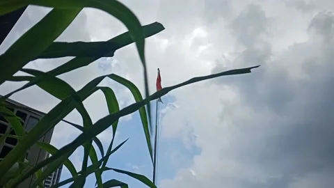 Indonesian flag fluttering Stock Footage 234592692