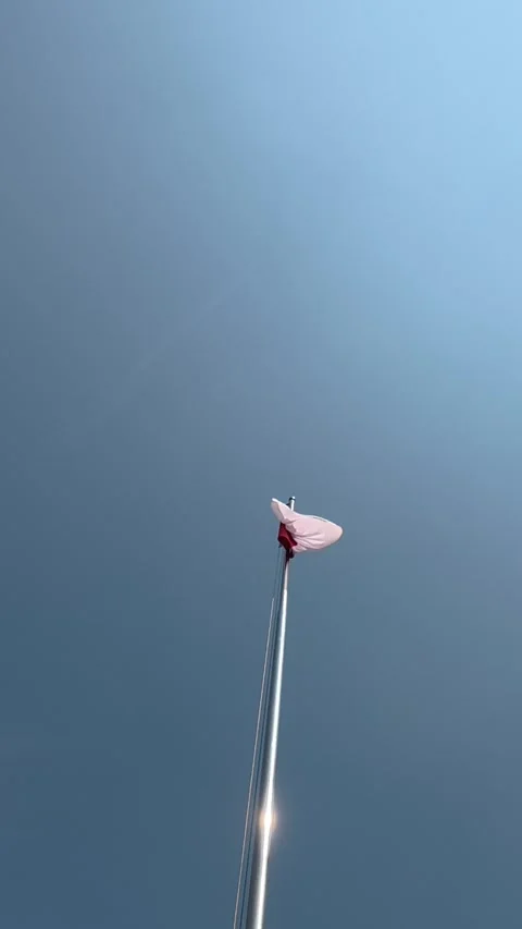 Indonesian flag flying high on flagpole against clear blue sky Stock Footage 342589599