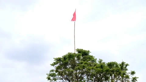 Indonesian Flag Stock Footage 168616805