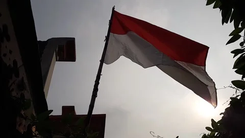 Indonesian flag Stock Footage 202488306