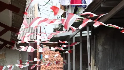 Indonesian Flag Stock Footage 205113994