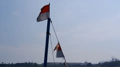 Indonesian flag Stock Footage 205440304