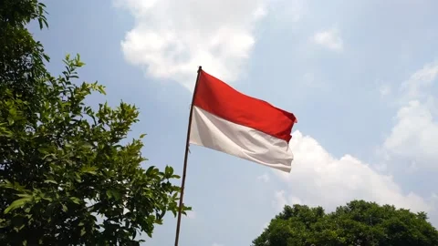 Indonesian flag Stock Footage 208012329