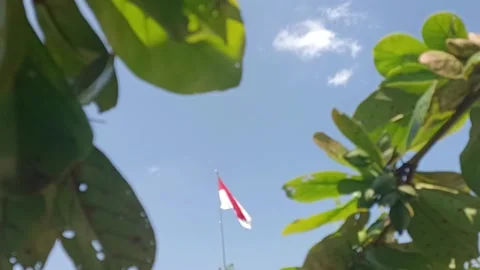 The Indonesian flag Video stock 210085096