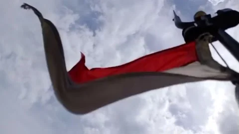 Indonesian Flag Stockbeeldmateriaal 219215461