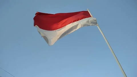 Indonesian flag Stock Footage 248066275