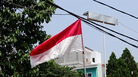  Indonesian flag Stock Footage 248441793