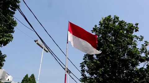 Indonesian flag Stock Footage 248441827