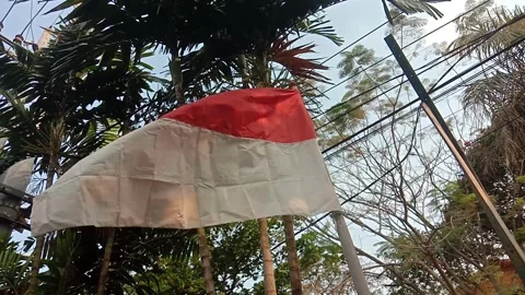Indonesian flag Stock Footage 280330968