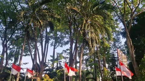 Indonesian flag Stock Footage 281118417