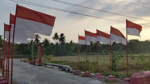 The Indonesian flag Stock Footage 303397221