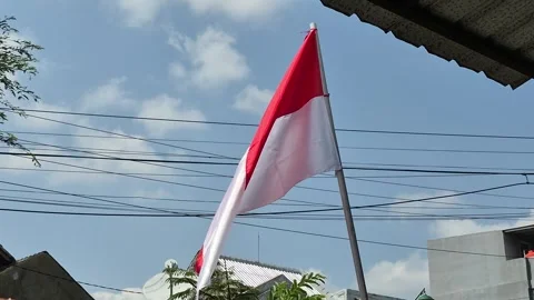 Indonesian flag 動画素材 341300892