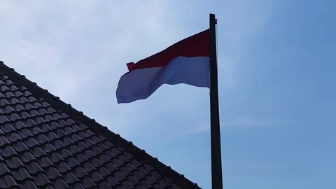 The Indonesian Flag Stock Footage 341367350
