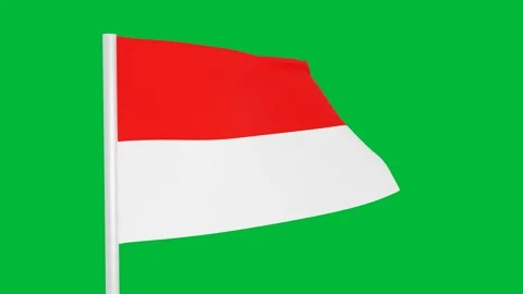 Indonesian Flag in Full 4K Resolution. Realistic Closeup of the Indonesian Flag Stock Footage 285710328