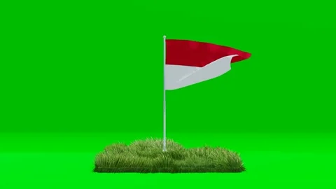 Indonesian Flag on Grass Base Stock Footage 320829384