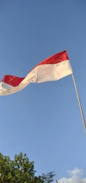 Indonesian flag Stock Photos