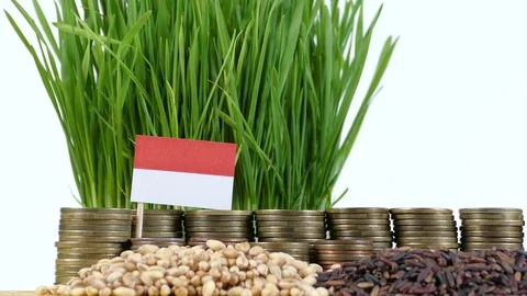 Indonesian flag with stack of money coins and piles of wheat and rice seeds Stock Footage 71939634