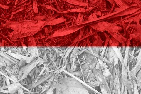 Indonesian flag texture as a background Stock Photos