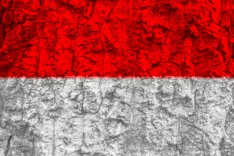Indonesian flag texture as a background Stock Photos