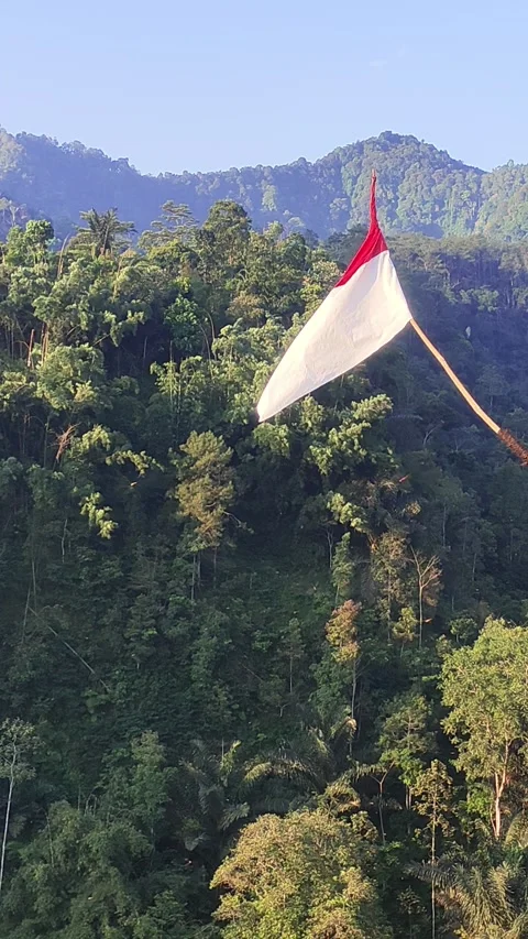 Indonesian Flag in Tropical Mountain Stock Footage 336301946