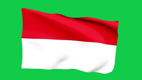 Indonesian flag waving animation Stock Footage 247336479