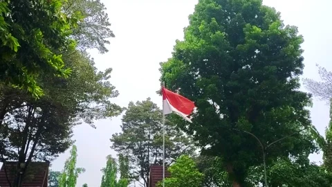 Indonesian flag waving Video stock 293441800