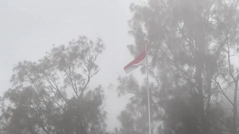 Indonesian Flag Waving on a Pole with Pine Trees and Fog in the Background Stock Footage 318716500